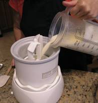 vanilla ice cream 04.jpg